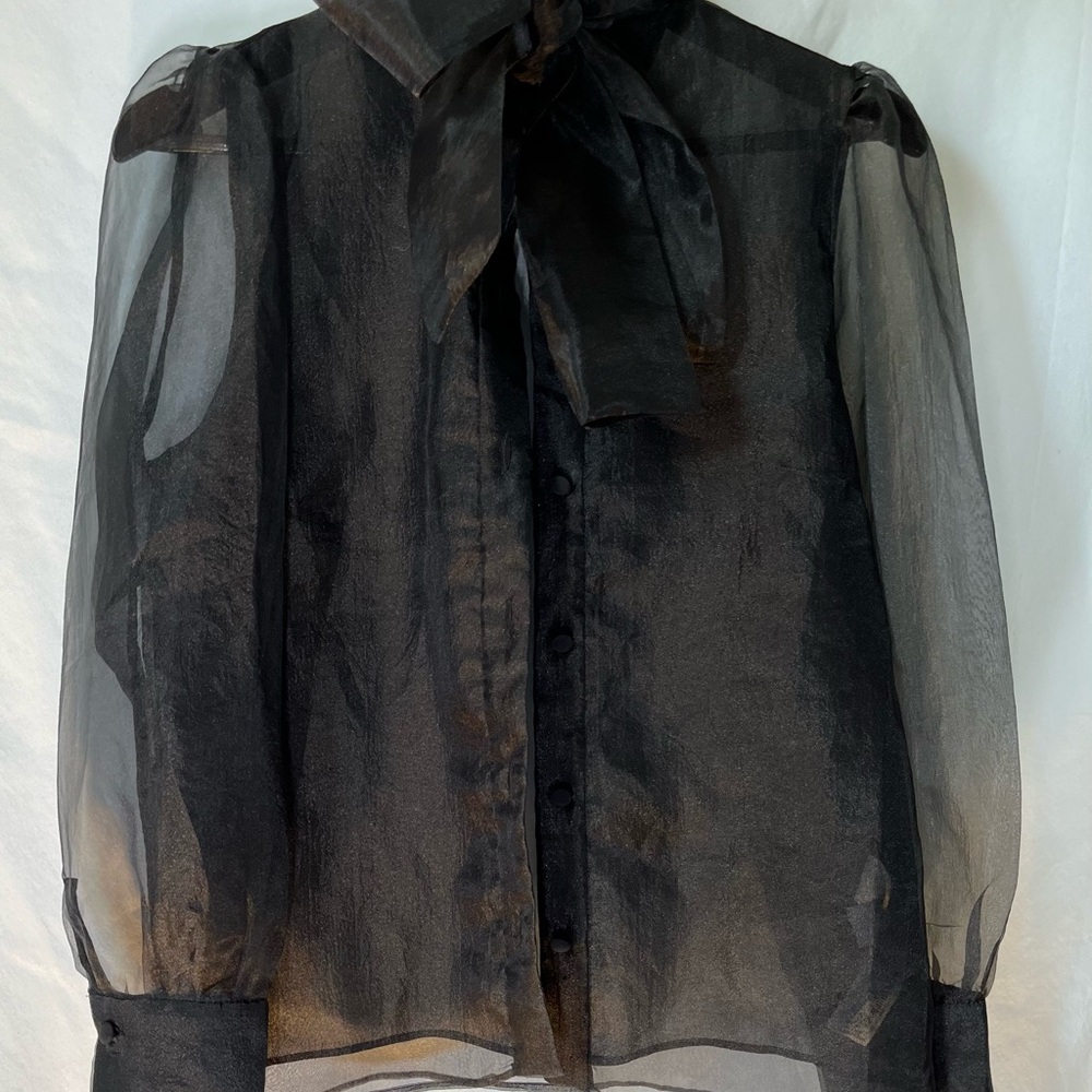 Zara Sheer Blouse Small Black Pre-owned